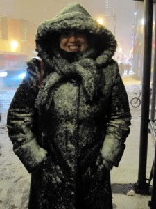 Five Napkin Josie covered in snow